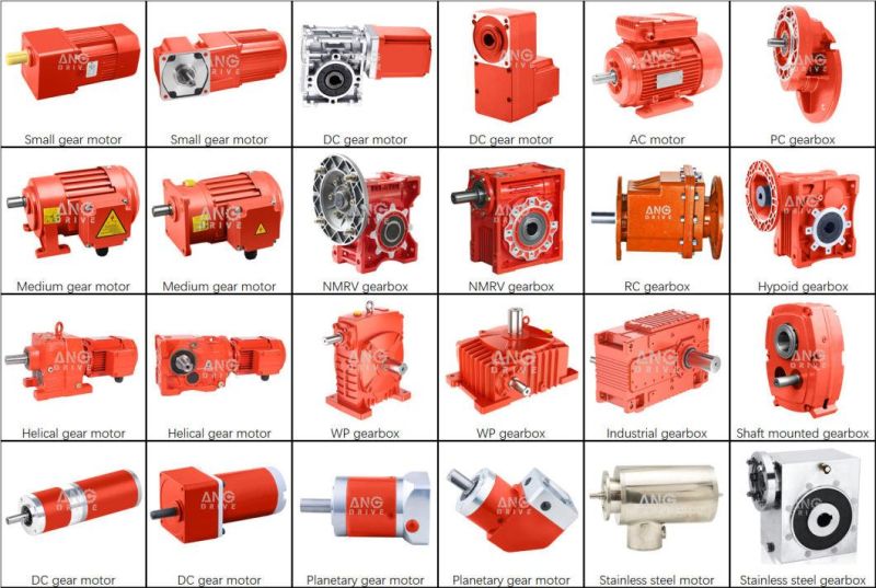 Nrv New Design Double Dual Shaft Input Right Angle Reduction Motorized Worm Reductor Gearbox