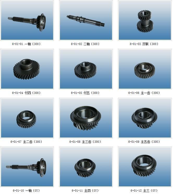 Rear Drive Axle Drive Bevel Gear on Various Vehical Car