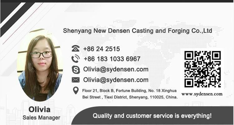 Densen Customized SWC Type Universal Coupling, Universal Joint Couplings, Universal Steel Joint Coupling