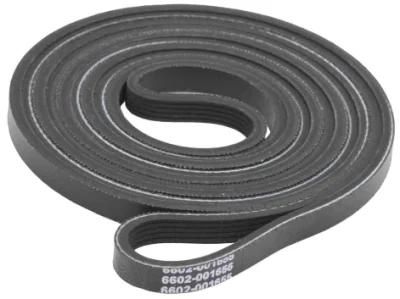 6602-001655 Dryer Drum Belt Replacement