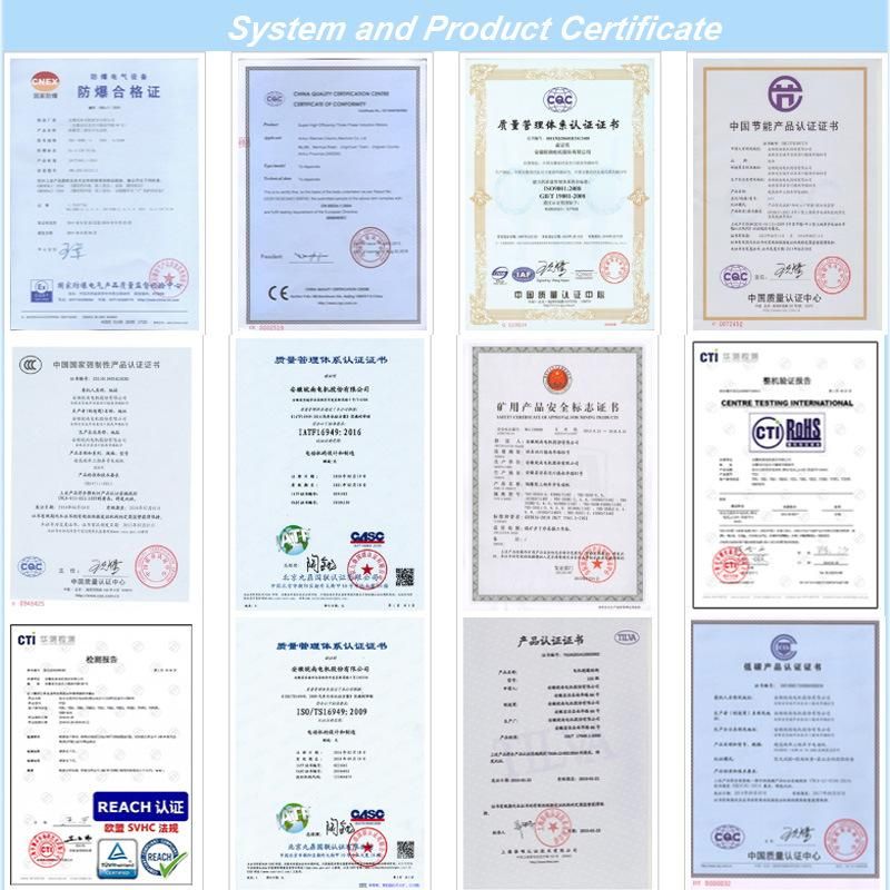 Wn Horizontal and Vertical Motor Rated Power P 250kw Rated Voltage U 400V Rated Current I 422.3A Frequency 50Hz Rated Speed 1490rpm Power Factor 0.89