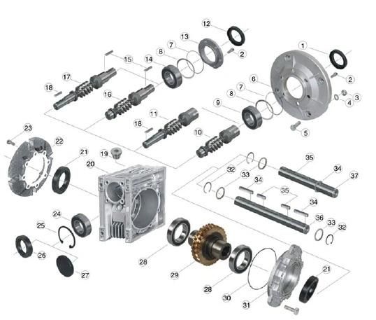 Eed Transmission Worm Gearbox Units E-RV063 Ratio10