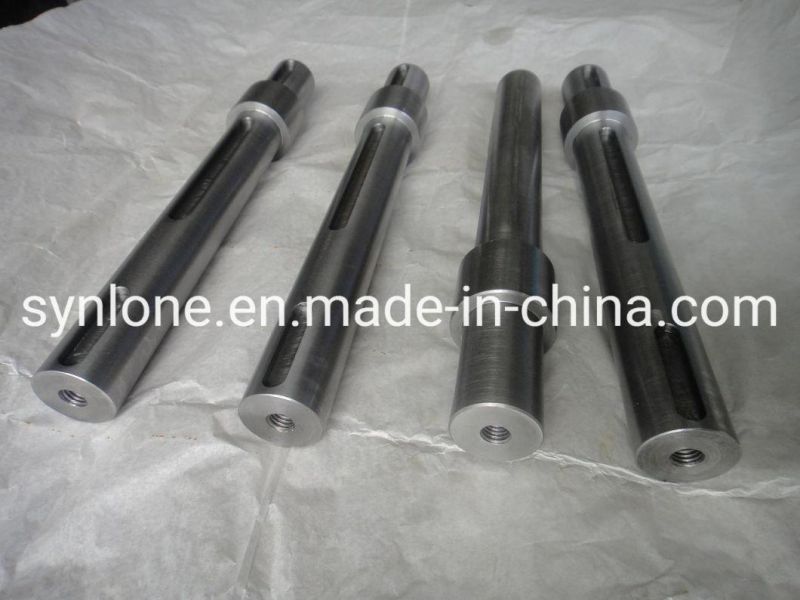 OEM Supplier Spline/Worm Shafts for Auto Parts