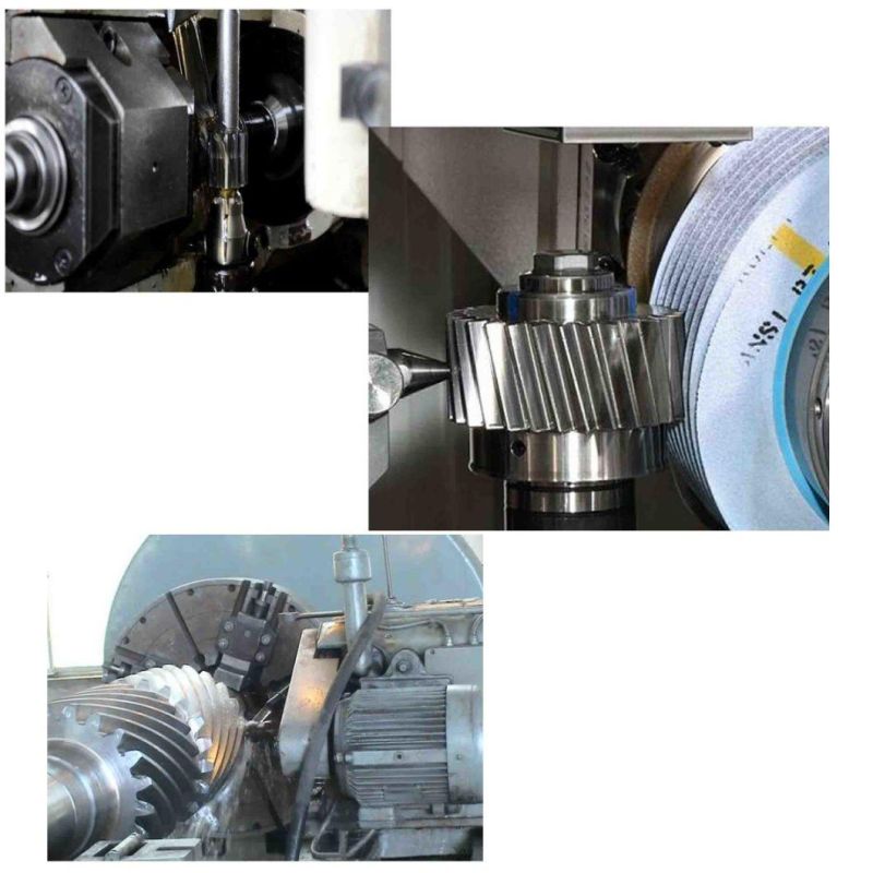 Professional Forged Gears Spur Gears Power Transmission Parts