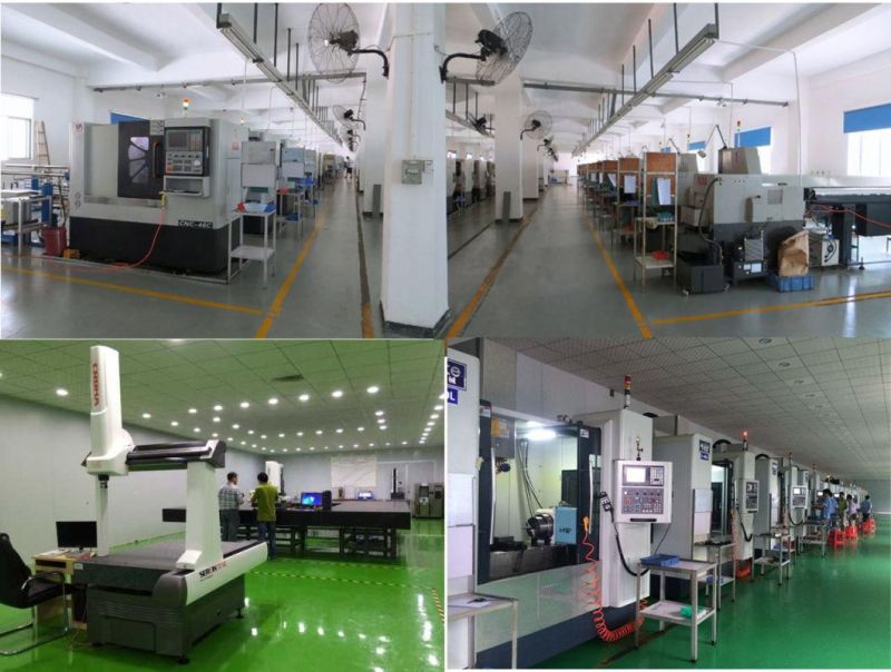 Stainless Steel Transmission Spur Gear for Textile Machine