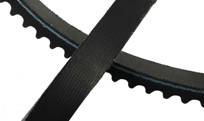 China Manufaturer Auto Parts Bx825li Rubber Toothed Belt