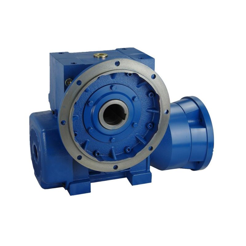 Cast Iron Reducer Double Enveloping Worm Gearbox Transmission 250mm Center Distance