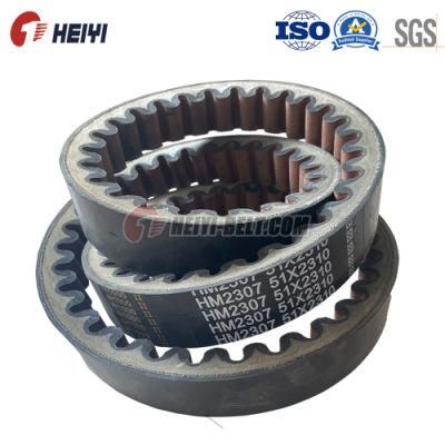 Oil Resistant Variable Speed Belt Hm, Ho, Hl, HD, Hj, Hdj Cogged Type for Heavy Power Transmission