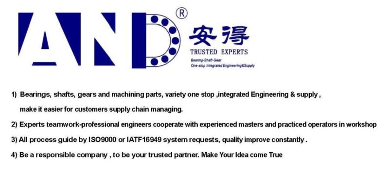 Customized Transmission Gear China