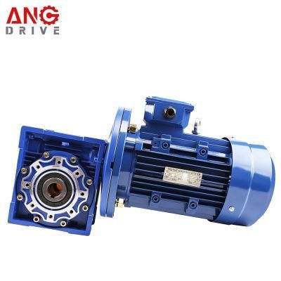 Nmrv Reducer AC Worm Gear Motor Dual Shaft 220V