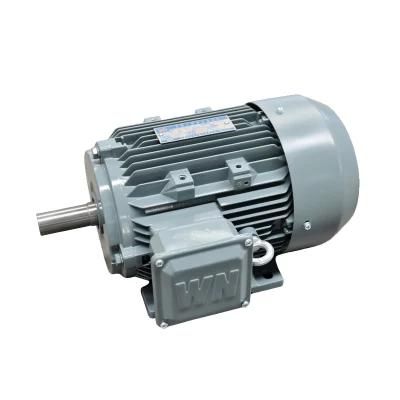 AC Motor 55kw for Smartlady Food Processor