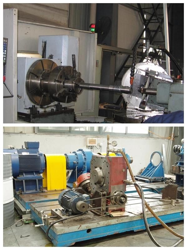 Sgr Planetary Reducers Used for Beaver Crusher Field, Equal to Brevini Modle