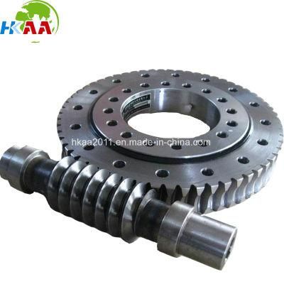 OEM High Precision Dual-Lead Worm Gear for Transmission