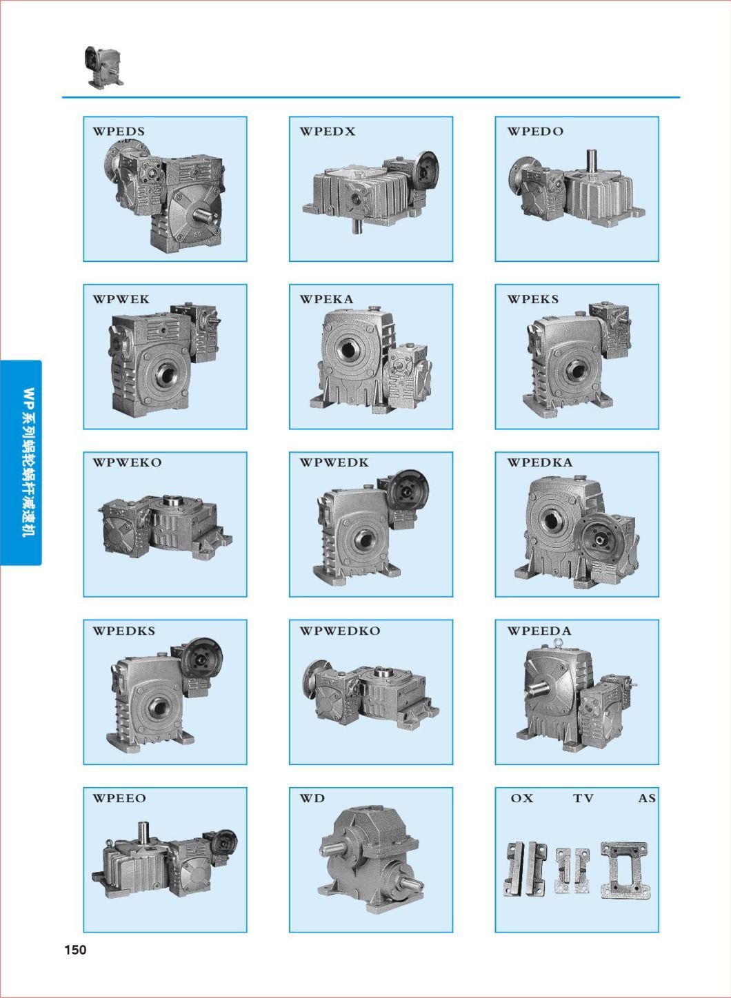 Wp Series Chinese Cast Iron Worm Gear Reducer