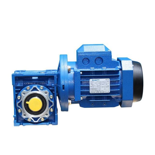 RV Series AC DC Motor with Right Angle Worm Gearbox