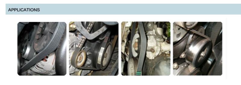 Fenda for African Market 104mr17 Timing Belt Auto Belts V-Belts