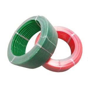 China Manufacturer Extruted Green Polycord Endless Belt