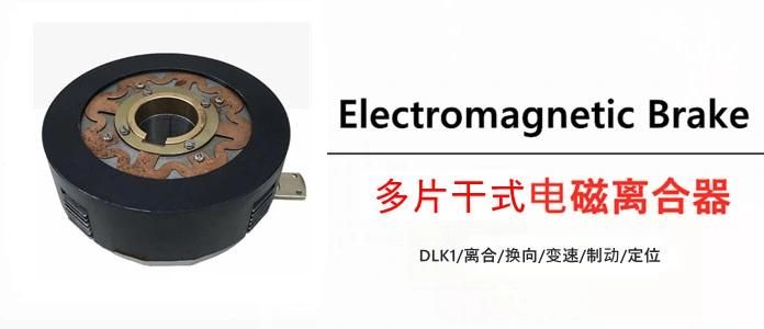 Dlk1-5 Electromagnetic Brake Dry Type Multidisc Electromagnetic Clutch