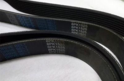 Oft Rubber V Belts / Ribbed Rubber Belts / Pk Belts /EPDM Cr Belt - Yp001