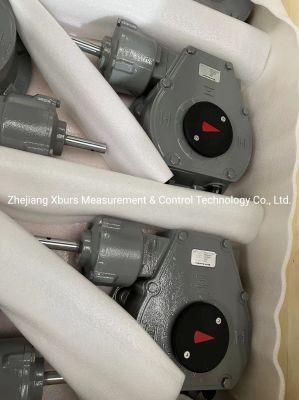 Xhw55-Pg4 Valve Gear Box Worm Gearbox