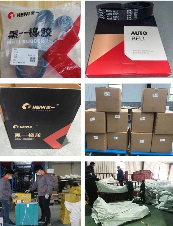 Pk, Pl, Pj Poly Belt, EPDM Rubber Belt, Kevlar/Aramid V Belt