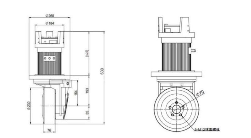 Whole Sell Motor 2500W Forklift Drive Wheel Assembly (TZ12-DA25)