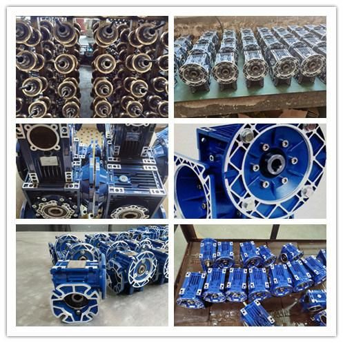 Nmrv063 Worm Gearbox with Extension Shaft and Brake System Electric Motor