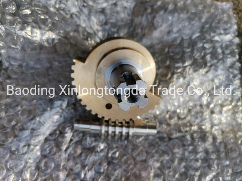 Customized Stainless Steel Shaft Worm Gear with CNC Machining