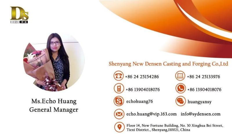 Densen Customized Motor Single Disc Flexible Shaft Coupling