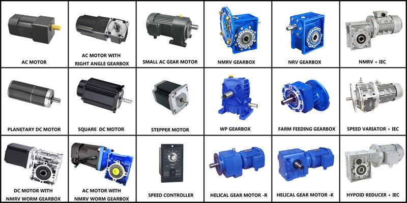 Nmrv30 Nmrv40 Nmrv50 Nmrv63 0.18kw to 200kw Worm Gearbox with Induction Motors