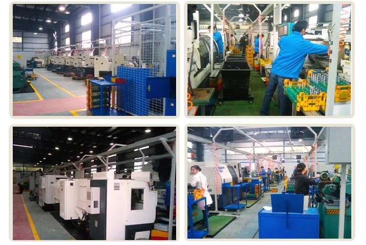 Chinese Factory Nylon Steel Gear Racks for Sliding Door