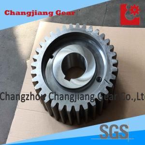 Grinding Precision Metal Large Spur Gear