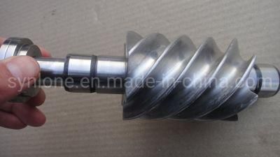Customzied Stainless Steel Worm for Machinery