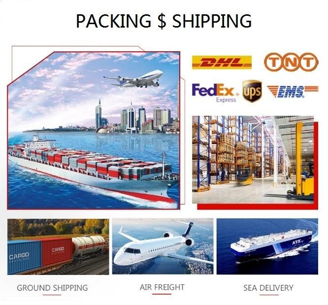 Ratio 15: 1 Hot-Selling Stepper Motor Packing Machine Planetary Gearboxes