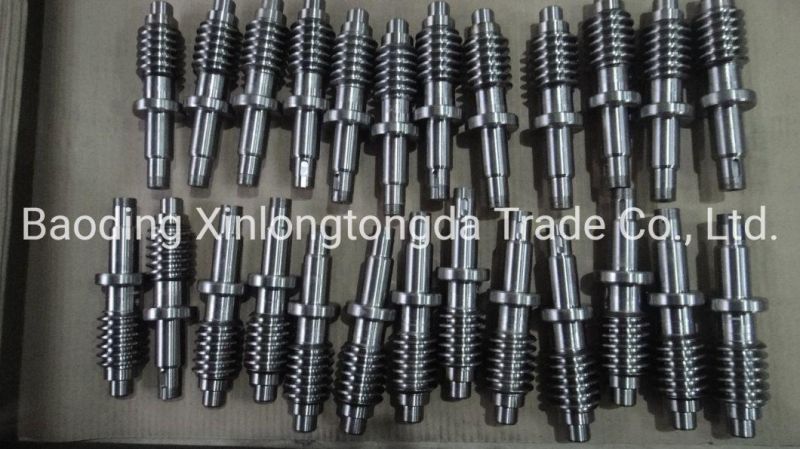 OEM Customised CNC Machining Auto Spare Parts Car Accessories Worm Shaft Gears