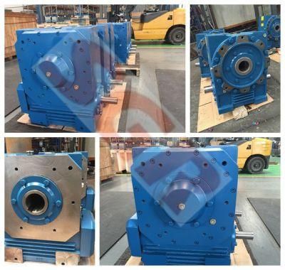 Long Using Life Chinese Factory of Cone Worm Series Worm Reduction Gearbox