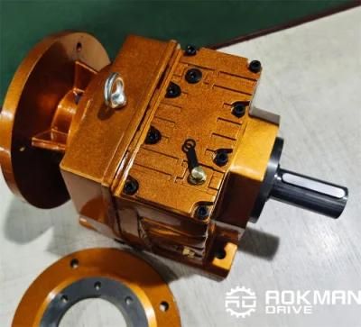 1: 20 50: 1 Ratio R Series Helical Gear Reduction Gearbox
