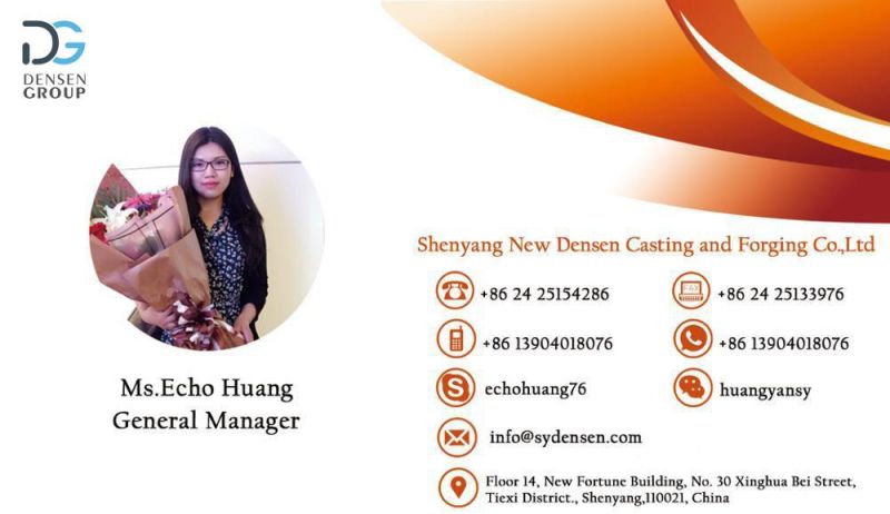 Densen Customized Rubber Jaw Coupling Spider Jaw Coupling HRC Jaw Coupling L Jaw Coupling