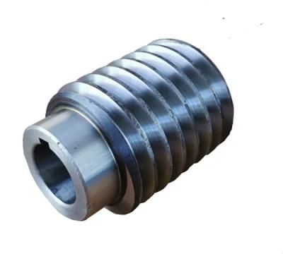 Worm for Reducer Power Transmision System