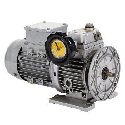 Ud Series Stepless Variator Reducer