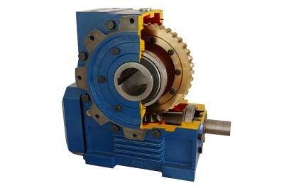 Cone Worm Gearbox for Exhibition Show