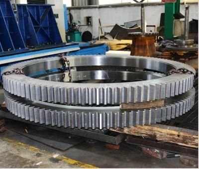 China Professional Forging/Forged Steel Gears