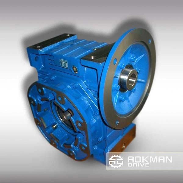 Aokman 1: 10 Ratio Nmrv Angle Small Worm Gearboxes