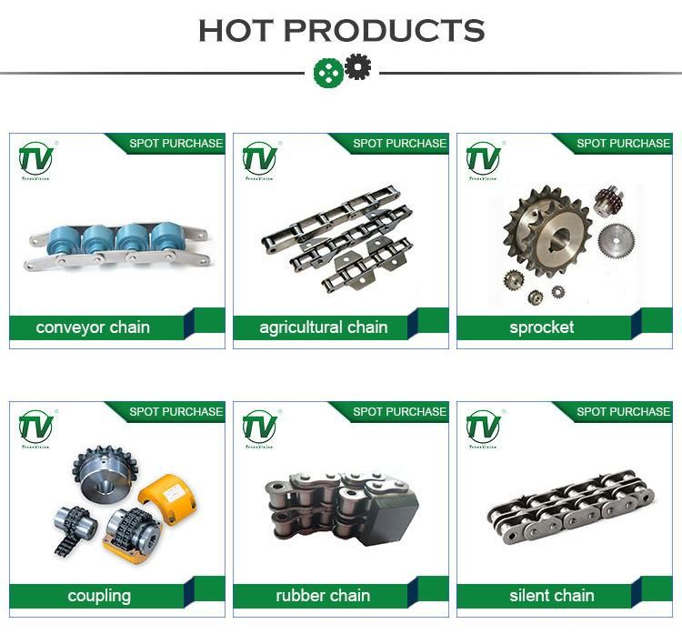 C2050 C2080 Stainless Steel Conveyor Chain for Transmission Use