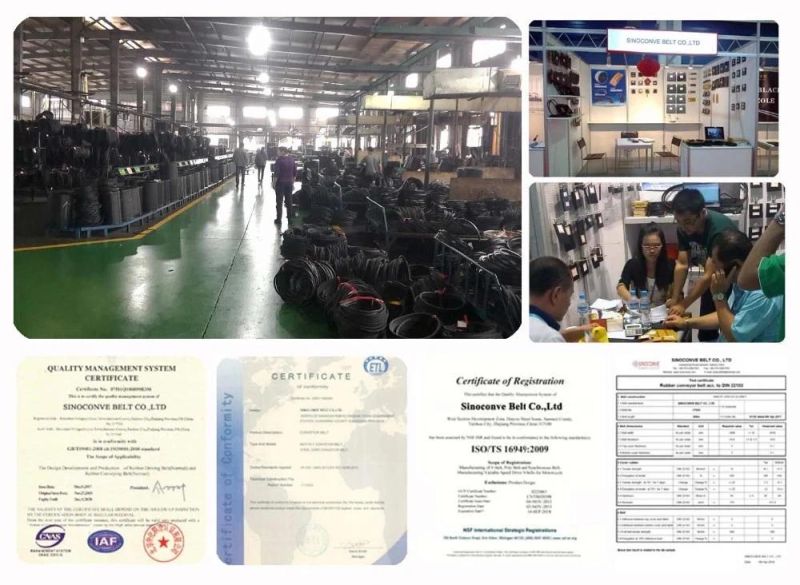 Factory Supply Automobile Parts Pk Belt Conveyor Belt