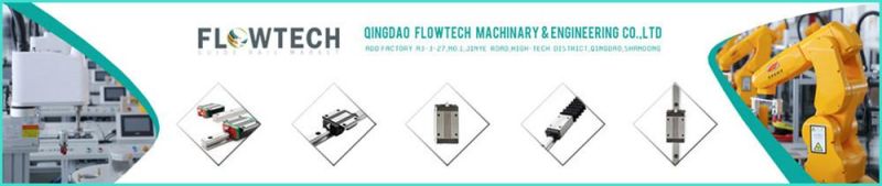 Customized Straight Rack with Mounting Holes 1m/1.5m/2/2.5/3m Any Length for CNC