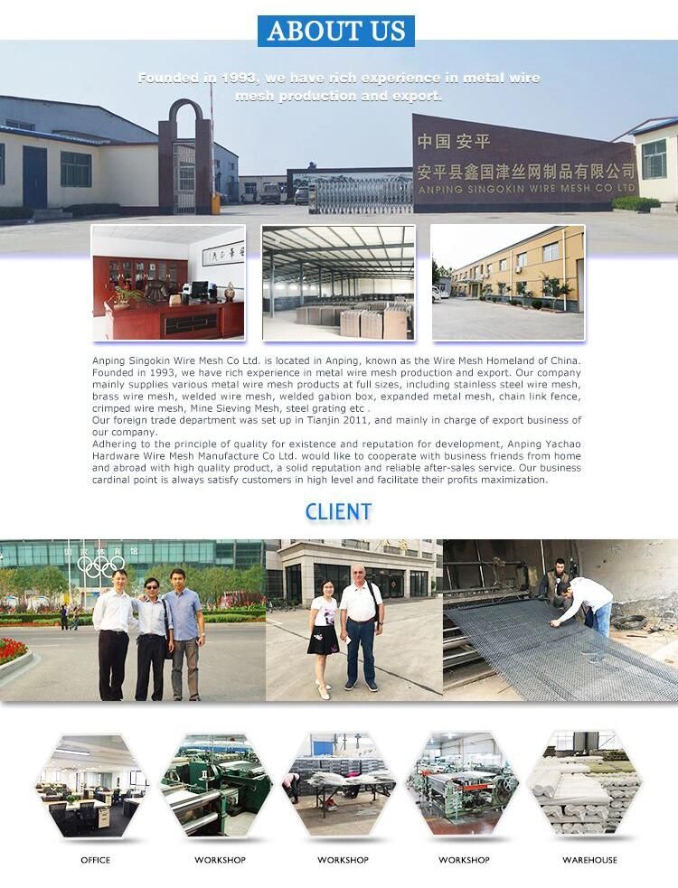 Chain Link Wire Mesh Belt Dryer for Purslane Mesh Conveyor Belt China