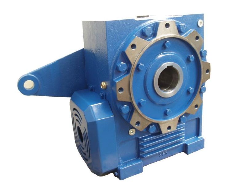 Coa Worm Gear Reducer Gearbox Transmission with Hollow Shaft
