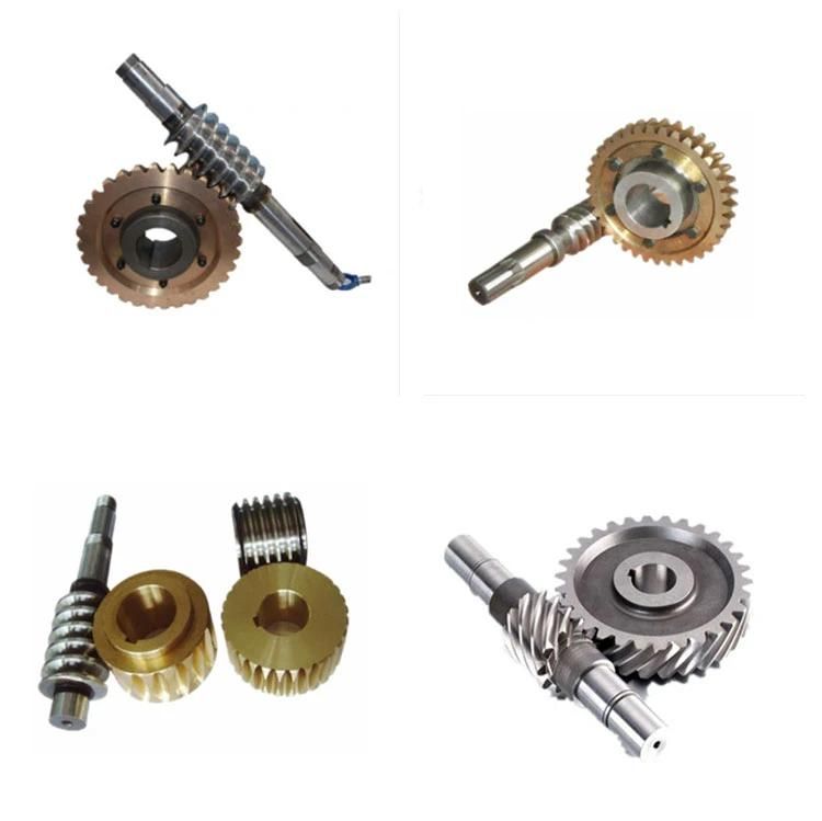 CNC Machining Stainless Steel Worm Gear