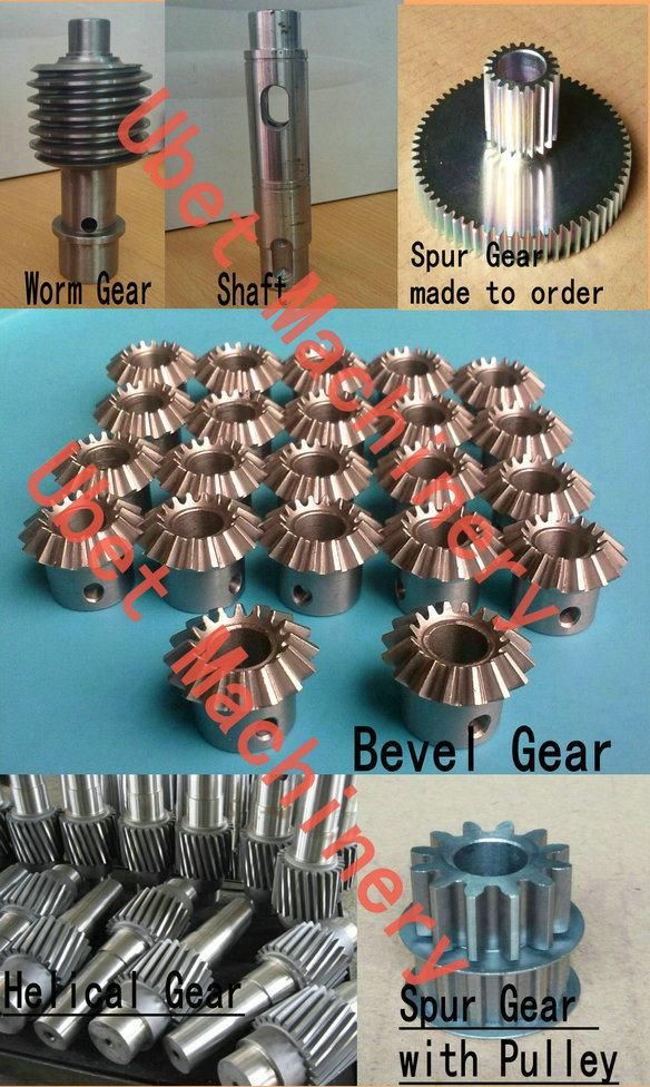 Stainless Steel Worm Drive Gear and Brass Transmission Spur Gear